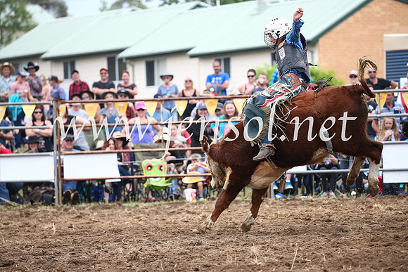 JindabyneRodeo2016-2745