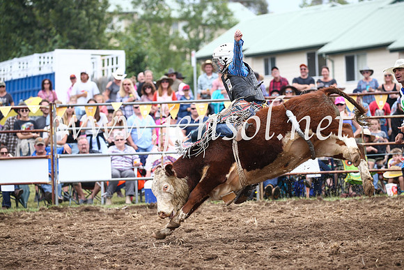 JindabyneRodeo2016-2762