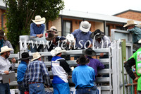 JindabyneRodeo2016_2776