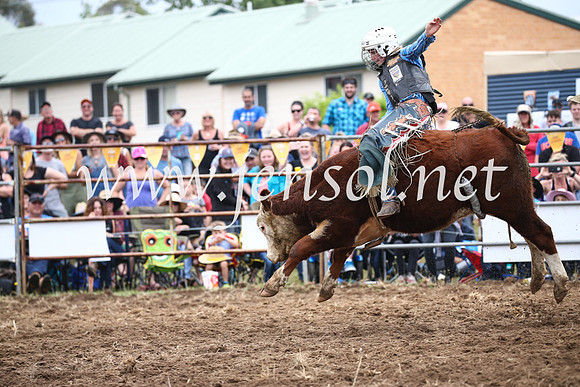 JindabyneRodeo2016-2750