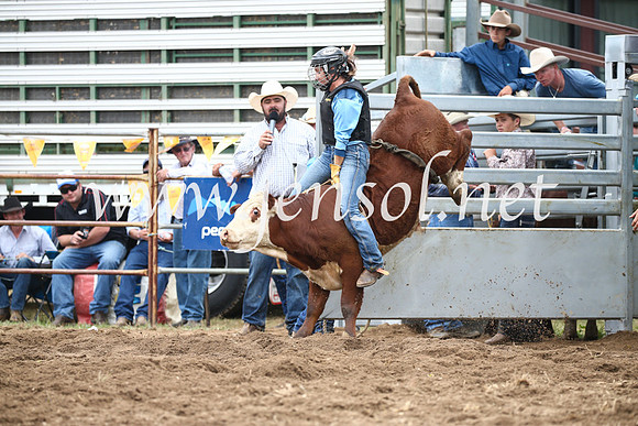 JindabyneRodeo2016_2778