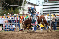 JindabyneRodeo2016-2731