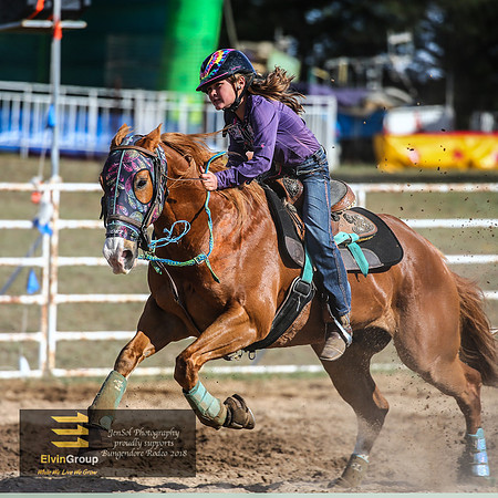 BungendoreRodeo2018-508