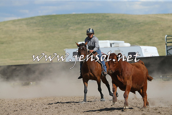 AdaminabyCampdraft2014_0680