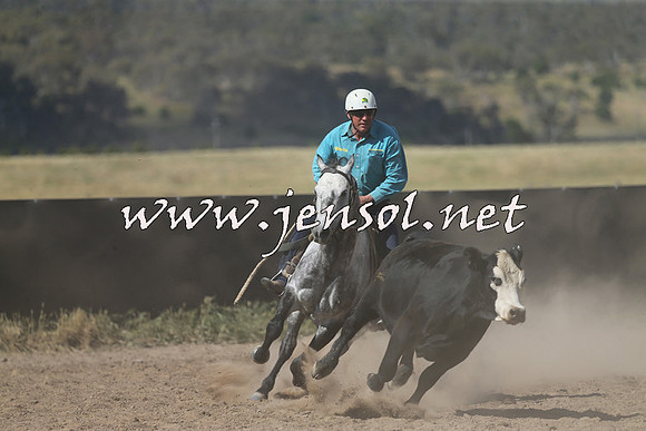 AdaminabyCampdraft2014_0607