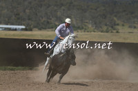 AdaminabyCampdraft2014_0527