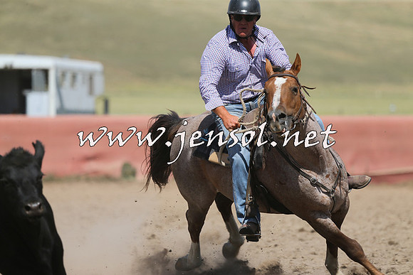 AdaminabyCampdraft2014_0535