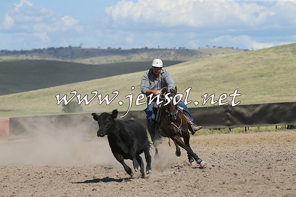 AdaminabyCampdraft2014_0677