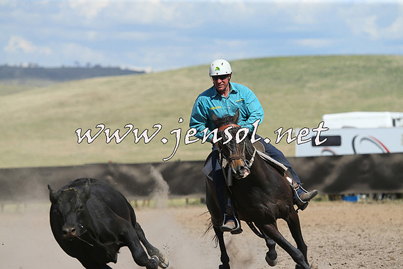 AdaminabyCampdraft2014_0602