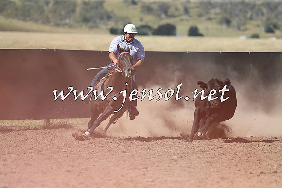 AdaminabyCampdraft2014_0571
