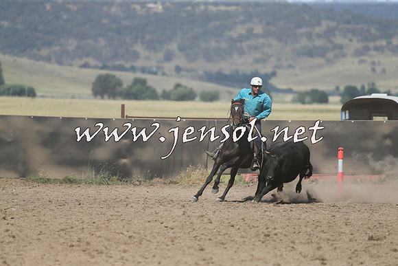 AdaminabyCampdraft2014_0603