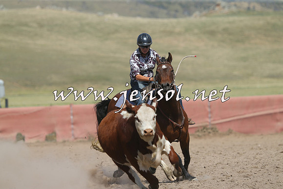 AdaminabyCampdraft2014_0565