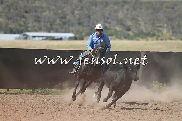 AdaminabyCampdraft2014_0618