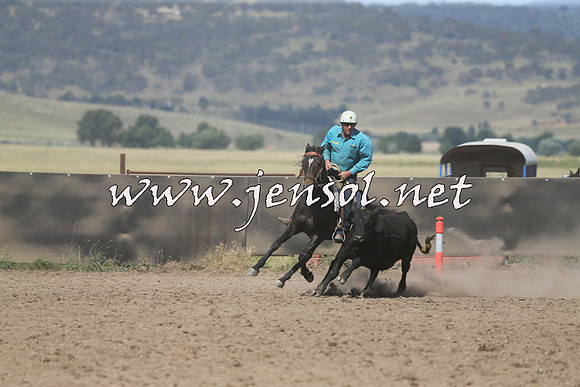 AdaminabyCampdraft2014_0605