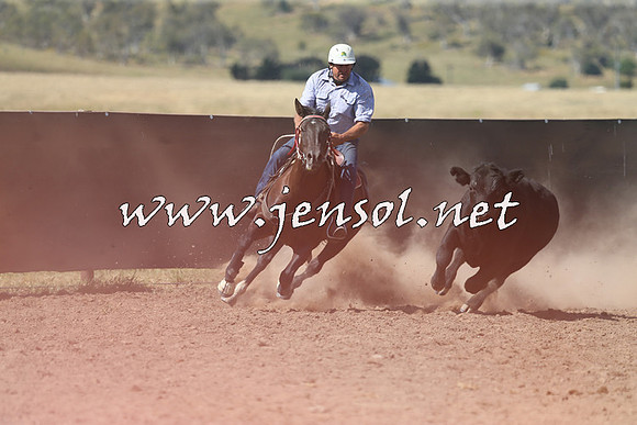 AdaminabyCampdraft2014_0574