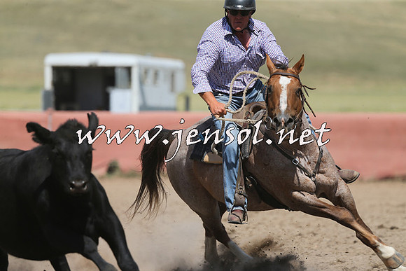 AdaminabyCampdraft2014_0537