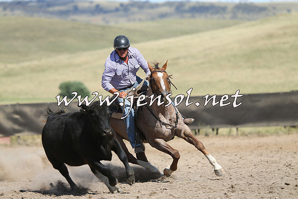 AdaminabyCampdraft2014_0645