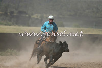 AdaminabyCampdraft2014_0554
