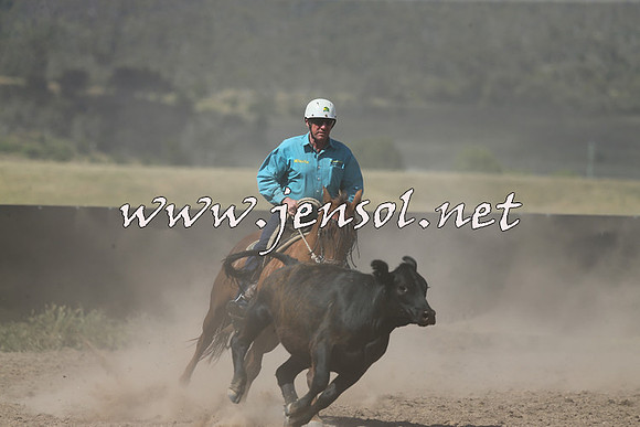 AdaminabyCampdraft2014_0554