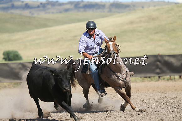 AdaminabyCampdraft2014_0641
