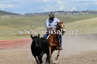 AdaminabyCampdraft2014_0552