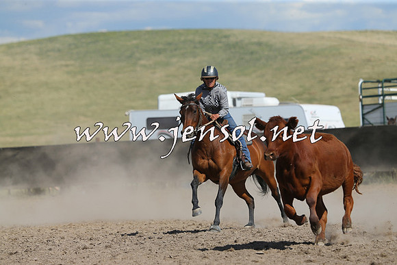 AdaminabyCampdraft2014_0682