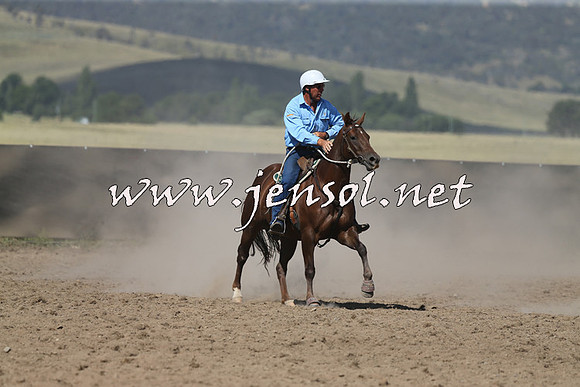 AdaminabyCampdraft2014_0670