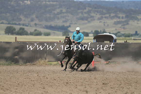 AdaminabyCampdraft2014_0604