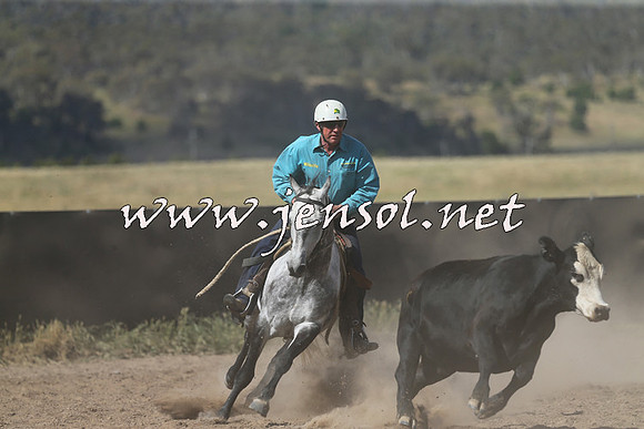 AdaminabyCampdraft2014_0608