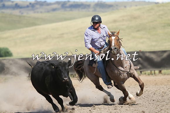 AdaminabyCampdraft2014_0642