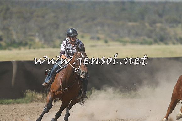 AdaminabyCampdraft2014_0586