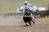 AdaminabyCampdraft2014_0531