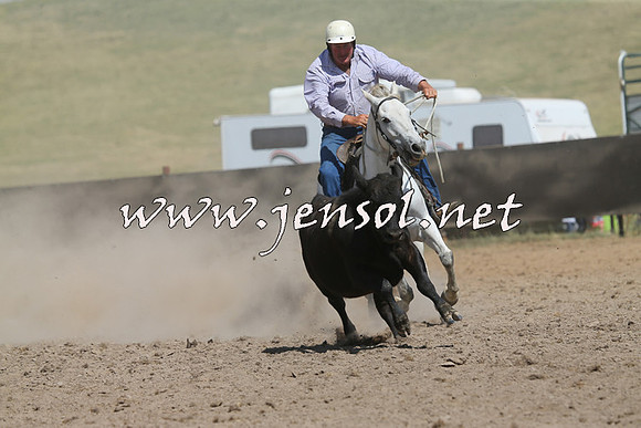 AdaminabyCampdraft2014_0531