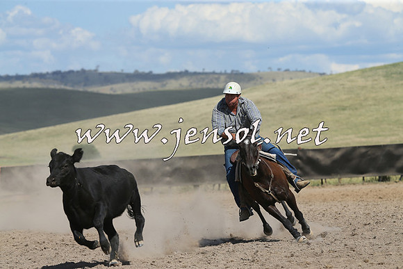 AdaminabyCampdraft2014_0679