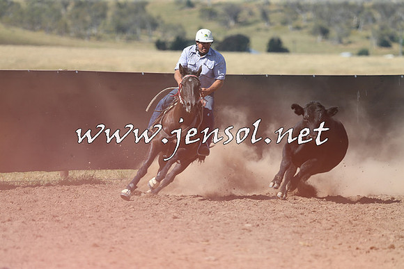 AdaminabyCampdraft2014_0573