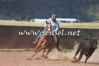 AdaminabyCampdraft2014_0542