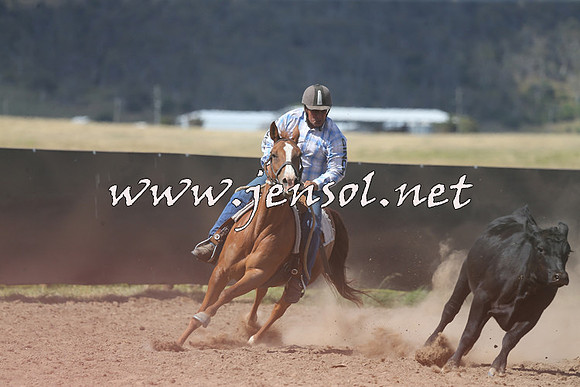 AdaminabyCampdraft2014_0542