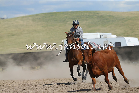 AdaminabyCampdraft2014_0683