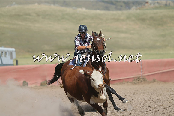 AdaminabyCampdraft2014_0566