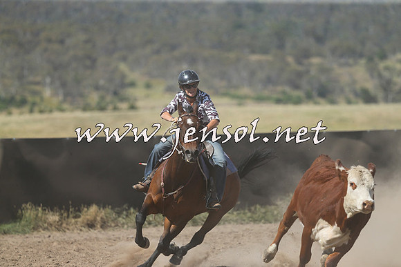 AdaminabyCampdraft2014_0584