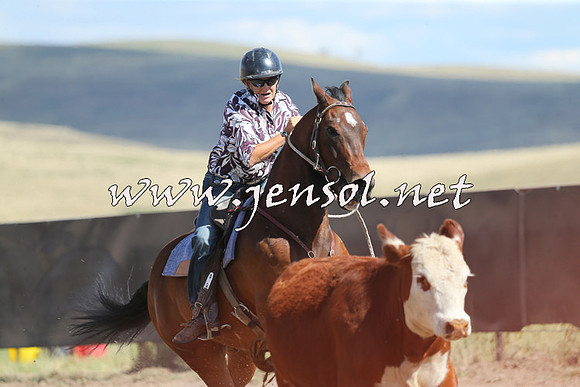 AdaminabyCampdraft2014_0588
