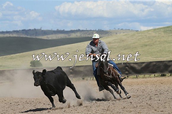 AdaminabyCampdraft2014_0676