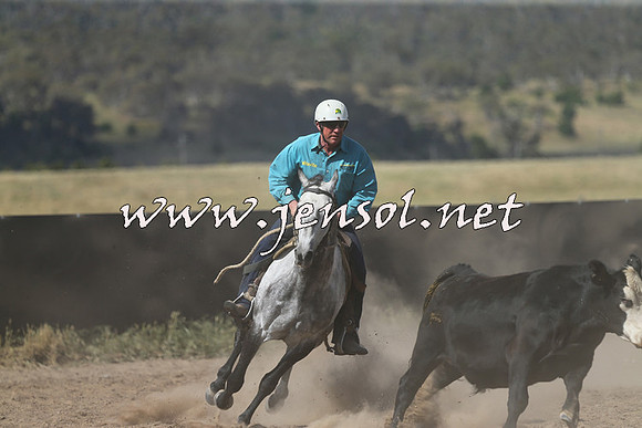 AdaminabyCampdraft2014_0606