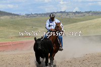 AdaminabyCampdraft2014_0551