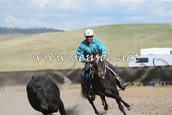 AdaminabyCampdraft2014_0601