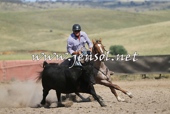AdaminabyCampdraft2014_0643