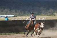 AdaminabyCampdraft2014_0564