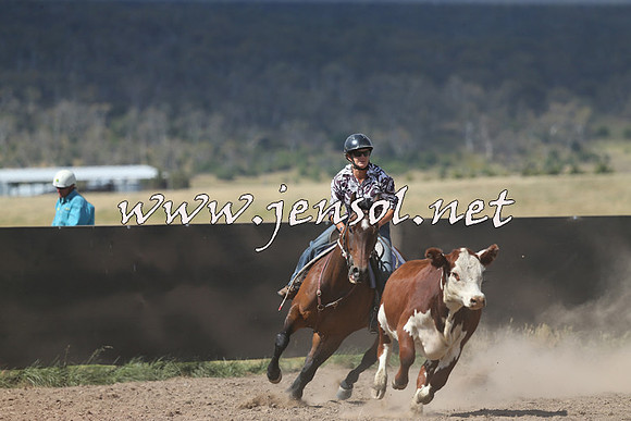 AdaminabyCampdraft2014_0564