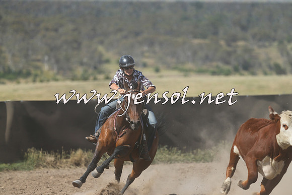 AdaminabyCampdraft2014_0582