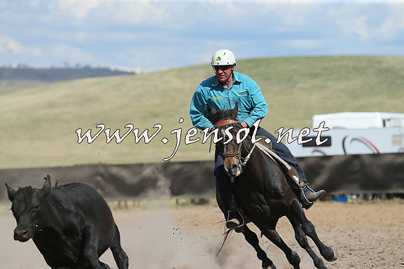 AdaminabyCampdraft2014_0600